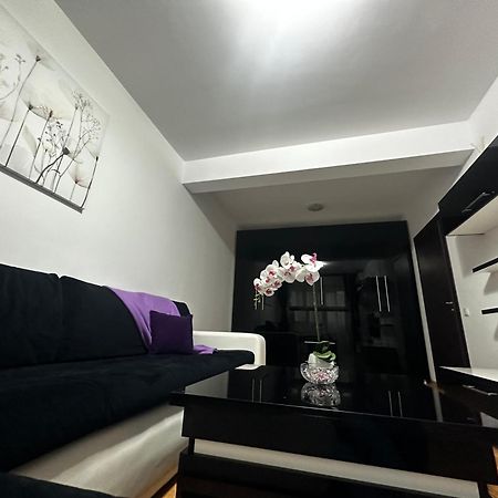 Nicolae Grigorescu Luxury Residence 부쿠레슈티 외부 사진